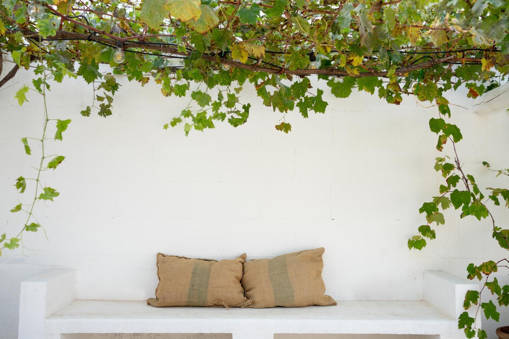 Oltre Gli Ulivi Bed & Breakfast Ostuni Exterior photo
